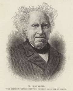 Michel Eugene Chevreul by French School