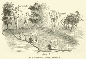 Monoculi, Blemmys, Sciopodes by French School