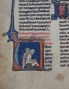 Auscultation of a Sick Man by French School