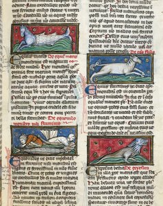 Sea Monsters, from 
