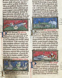 Sea Monsters, from 