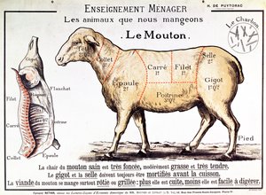 Mutton: diagram depicting the different cuts of meat