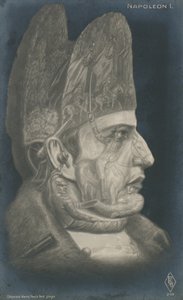 Napoleon I by French School