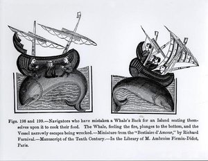 Navigators who have Mistaken a Whale