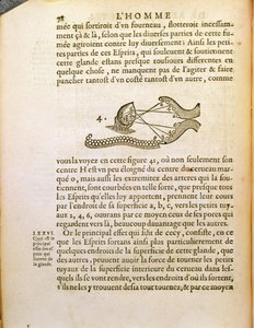 Optical diagram, from De Homine Figuris by Rene Descartes published in The Hague, 1662 by French School