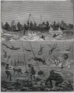 Pearl fishers in Ceylon (present-day Sri Lanka) in the 19th century. Engraving from 1885 in Les arts et metiers illustres by Adolphe Bitard.