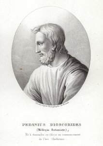 Pedanius Dioscorides by French School
