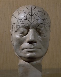Phrenological Head by Jean Martin Charcot by French School