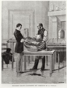 Physicists experimenting on a torpedo, 2nd half 19th century by French School