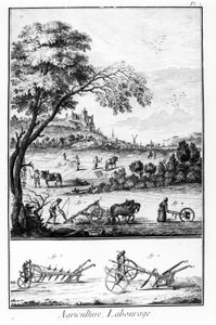 Agriculture and Ploughing (Plate of the Encyclopedia of Diderot and Alembert) by French School