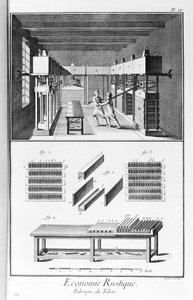 Plate representing a tobacco factory. Manufacture de Tabac - The Encyclopedia Diderot & d
