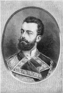 Portrait of Amedee I