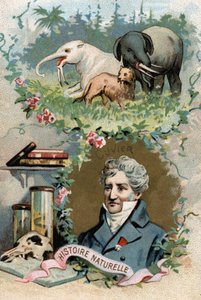 Portrait of Baron Georges Cuvier, French zoologist and paleontologist (1769-1832), founder of comparative anatomy