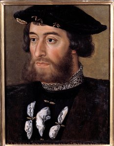 Portrait of Guillaume de Bellay, Lord of Langey (1491-1543). He was governor of Turin and Piemont. Anonymous 16th century painting. Versailles, Chateaux de Versailles et de Trianon