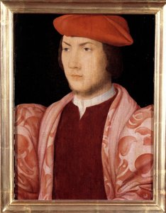 Portrait of Odet de Coligny, cardinal of Chatillon in 1534