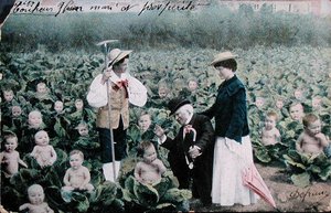 Postcard Depicting a Couple Looking for a Baby by French School