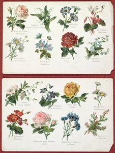 Postcards Depicting the Language and Meaning of Flowers, c.1905 by French School