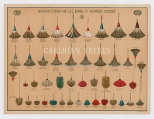 Poster Advertising All Kinds of Feather Dusters by French School