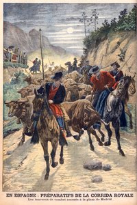 Preparations for the bullfights to celebrate the wedding of King Alfonso XIII of Spain. Bulls being taken to Madrid. Illustration for Le Petit Journal