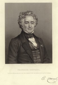 Professor Chevreul by French School