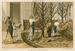 Pruning Trees