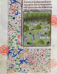 Rabbit Warren, from the Livre de la Chasse by Gaston Phebus de Foix (1331-91)