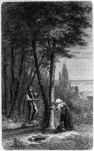 Recolation of manna on round-leaved frenes. Engraving in 