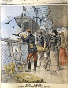 Releasing French Army Homing Pigeons on Board the Transatlantic Liner La Bretagne Between Le Havre and New York