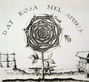 Rosicrucian Allegory, copy of an engraving by Johann Theodore de Bry (c.1598), used in a History of Magic, published late 19th century by French School