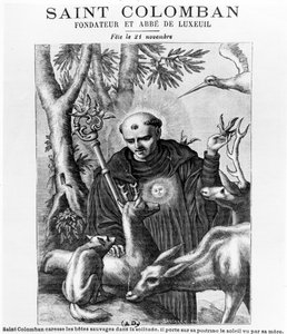 Saint Colombanus by French School