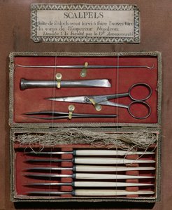 Surgical instruments used for the dissection of Emperor Napoleon I by French School