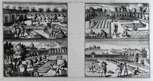 Tending a garden, from 