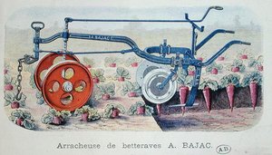 The Bajac Machine for lifting beetroot by French School
