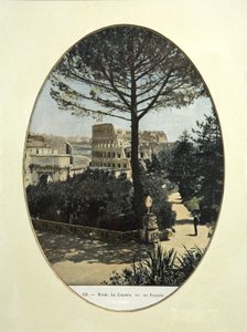 The Colosseum Seen from the Palatine Hill in Rome