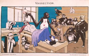 The Revenge of the Animals, Caricature of Vivisection by French School