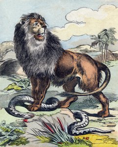 The Lion (Engraving in "Buffon Alphabet des Animaux")