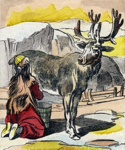 The Reindeer Being Milked (Engraving in "Buffon Alphabet des Animaux") by French School