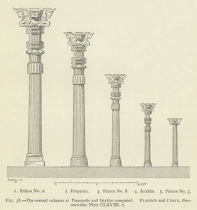 The Several Columns at Persepolis and Istakhr Compared by French School