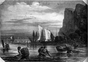 The shrimp fishing in the vicinity of Le Havre