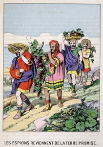 The spies return from the promised land - in 