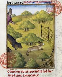 Trap for Hare and Hunting Dogs - in Book of Hunting by Gaston Phoebus, Count of Foix, Lord of Béarn by French School