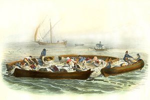 Tuna fishing or magrague - Plate extracted from Natural History by Bernard Germain de Lacepede by French School