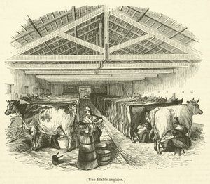 An English Stable