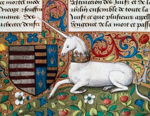 Unicorn