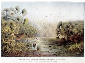 Upper Nile Passage with Papyrus and Reed Coppice by French School