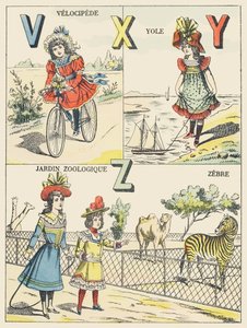 Velocipede, Yole, Zoological Garden, Zebra by French School