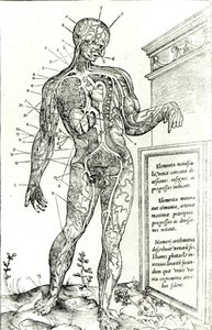 Vascular System according to Charles Étienne, from De dissectione partium corporis humani libri tres, 1545 by French School