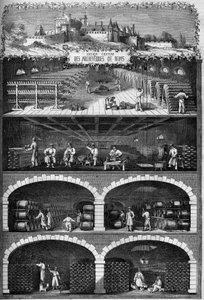 Viticulture: view of the champagne cellars in the basements of the old castle of the archeveques of Reims, Marne (51) by French School