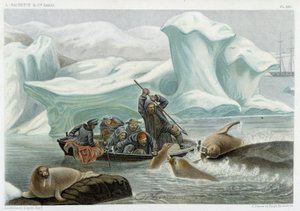 Walrus Hunting - in “The World of the Sea” by Alfred Fredol, Hachette, Paris by French School