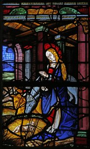 Window depicting the Nativity